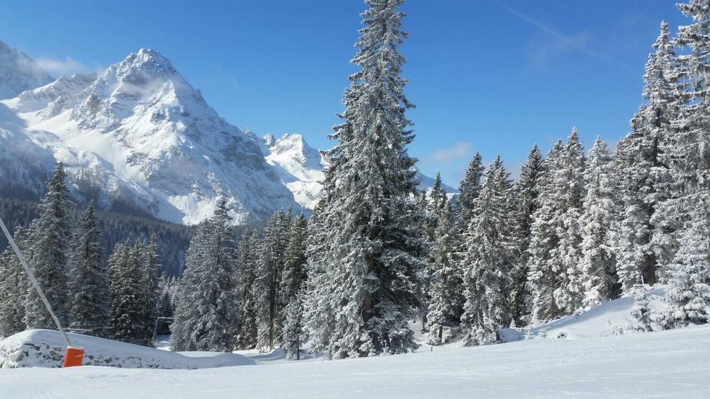 Pension Lischenhof Ehrwald Exteriör bild