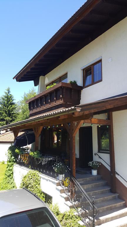 Pension Lischenhof Ehrwald Exteriör bild